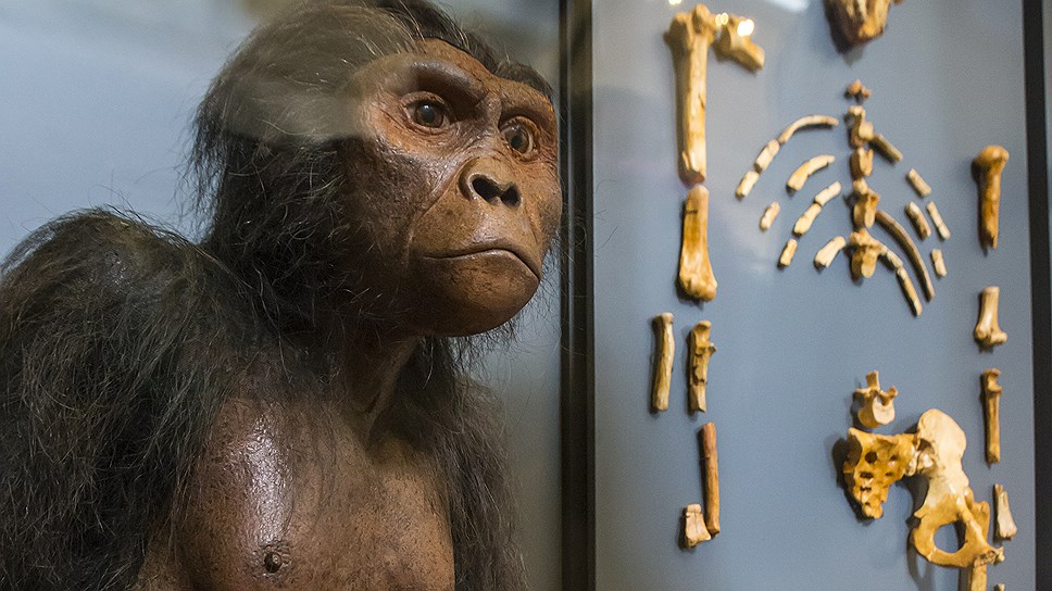 Люси - первый человек на земле